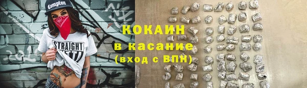 шишки Алексин