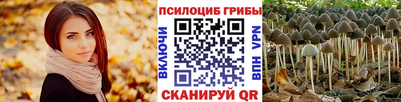 наркота Красноуральск Галлюциногенные грибы мухоморы